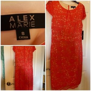 Alex Marie Lace Dress. Gorgeous Coral Lace. Never Worn! Size 8!
